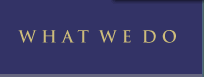What We Do